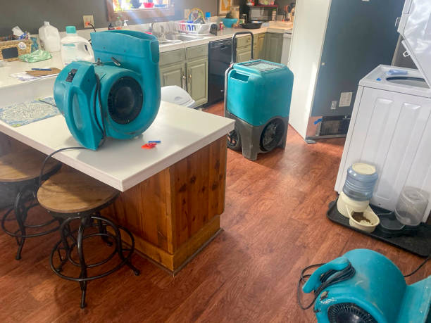 Best Carpet water damage restoration  in Fairfax Station, VA