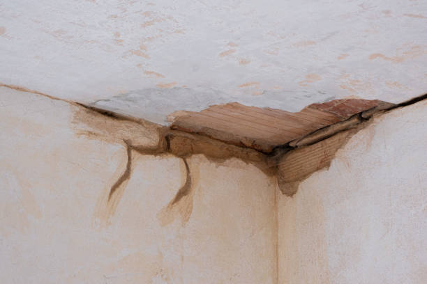 Best 24/7 water damage repair  in Fairfax Station, VA