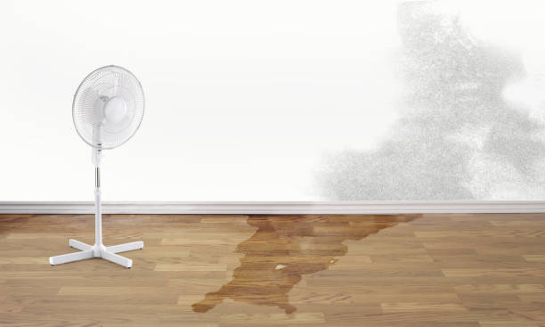 Best Emergency water damage restoration  in Fairfax Station, VA