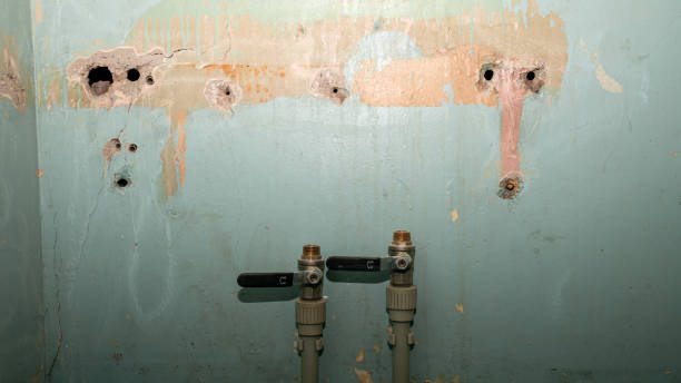 Best Professional water damage repair  in Fairfax Station, VA