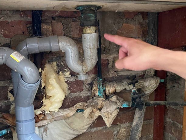 Best Local water damage restoration  in Fairfax Station, VA