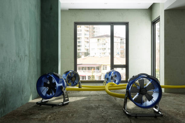 Best Carpet water damage restoration  in Fairfax Station, VA
