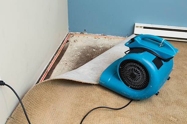 Best Emergency water damage restoration  in Fairfax Station, VA